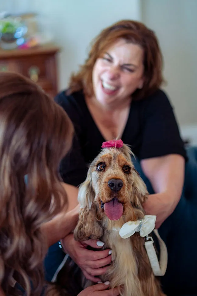A bride-to-be and her dog are having fun with Ann from The Gilded Lead during their consultation.
