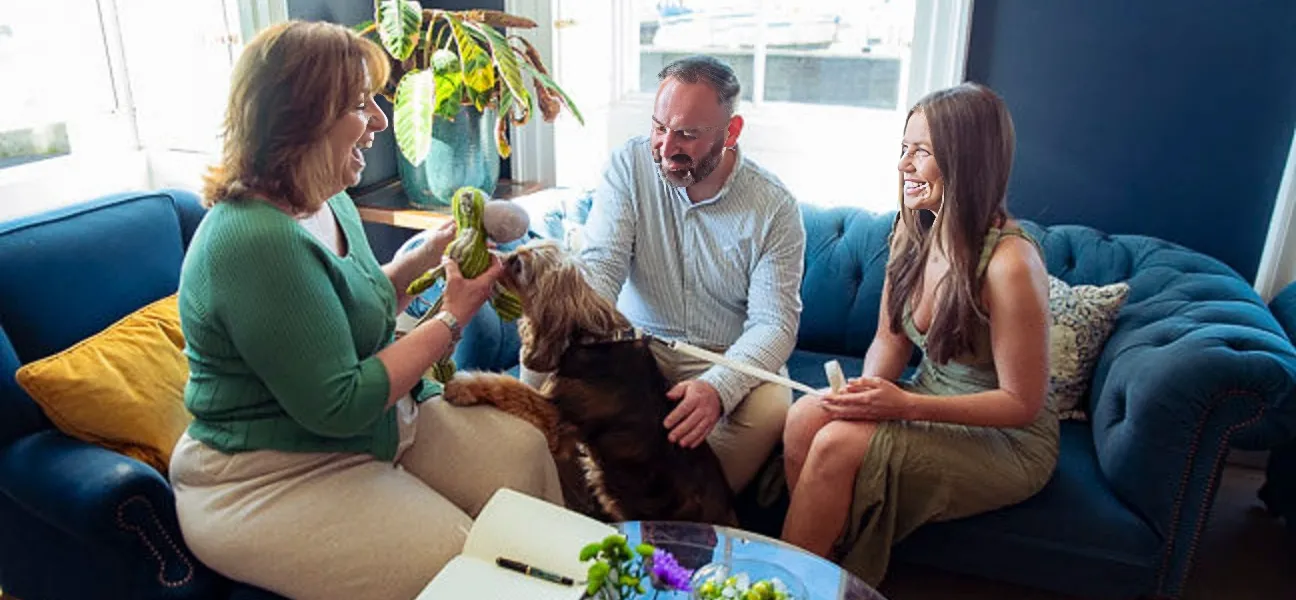 A couple meet Ann from the Gilded Lead for a consultation before arranging their dogs attendance at their wedding