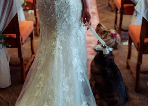 Bride about to walk up the aisle with her dog