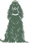 Green dog