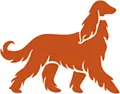 Orange dog